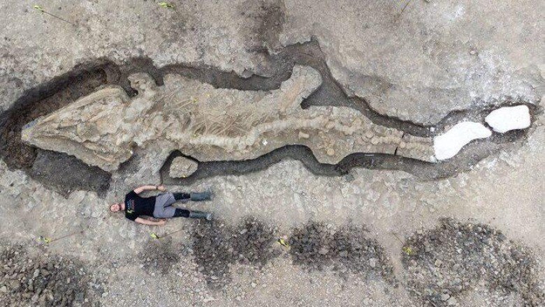 İngiltere’de dev ‘deniz ejderhası’ fosili bulundu