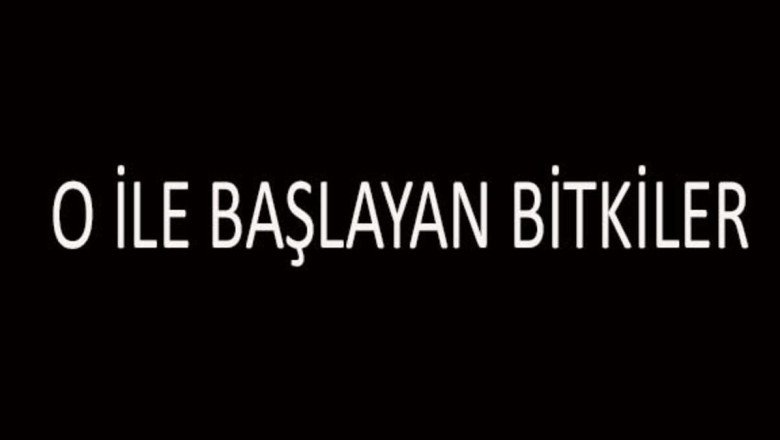 O İle Başlayan Bitki İsimleri… O Harfi İle Başlayan Bitkiler