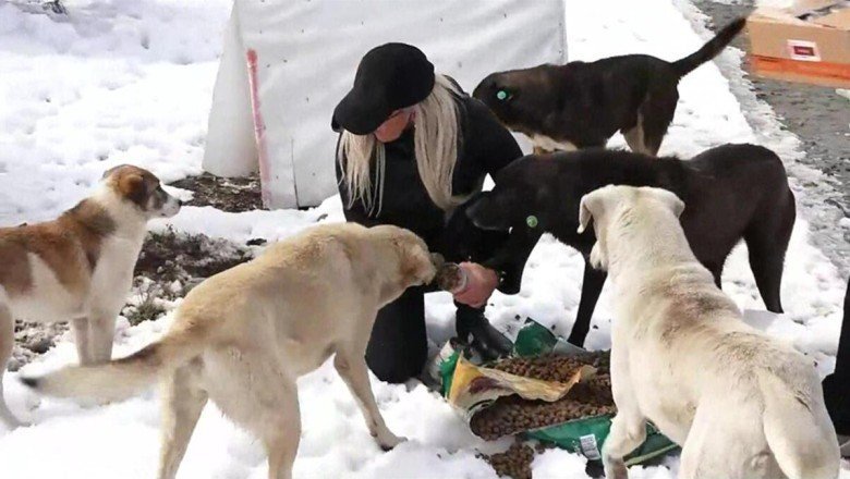 Sokak hayvanları unutulmuyor