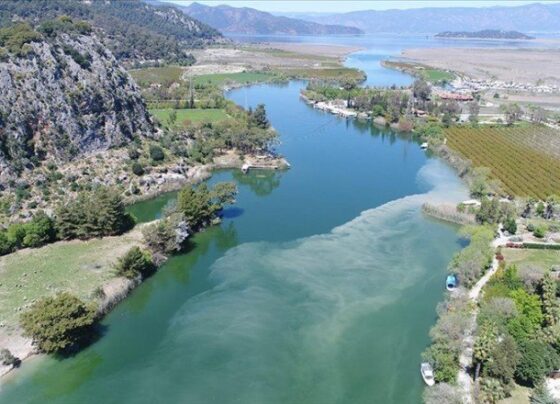 Dalyan kanalının rengi çamur ve sazlık nedeniyle değişti