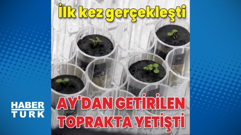 Ay’dan getirilen toprakta yetişti