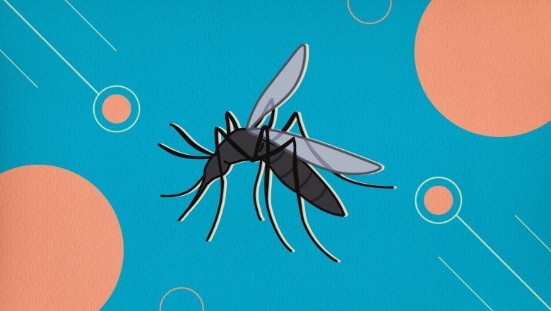 Batı Nil Ateşi (West Nil Fever) Hastalığı Nedir? Kimlerde Görülür Tedavisi Var Mı?