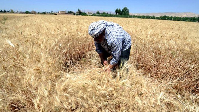 İngiliz Financial Times’tan Türkiye tarımı analizi: 500 bin çiftçi zorluk içinde