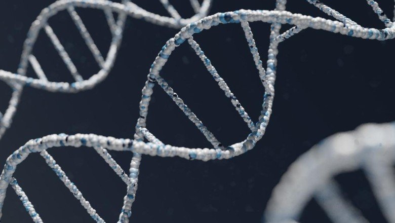 ABD’li profesörler uyardı: “Ünlülerin DNA’sını çocuk yapmak için çalabilirler”