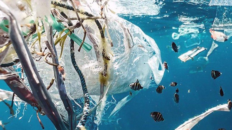 Milyonlarca ton plastik besin zincirine dahil oluyor