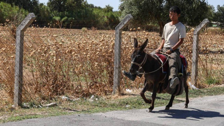 Japon turist eşekle adım adım Türkiye’yi gezdi