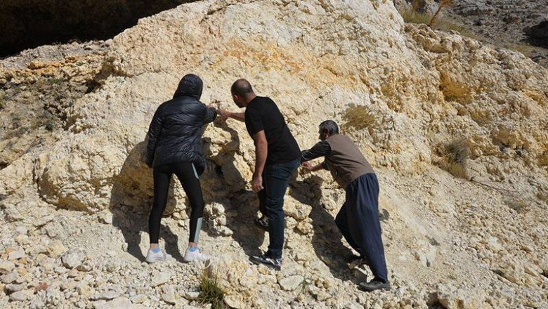 Toros Dağları’nda 35 milyon yıllık fosil bulundu