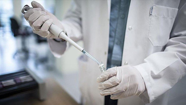 Bilim insanları 2022’deki keşifleriyle tarihe ışık tuttu