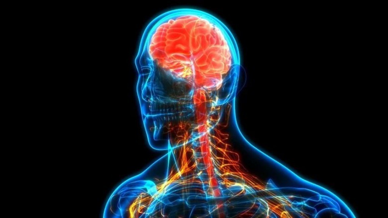 Psikobiyoloji Nedir? Psikobiyoloji Ne Anlama Gelir?