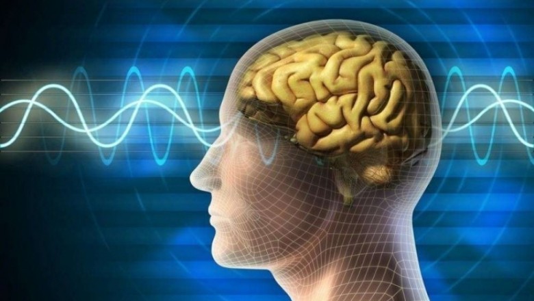 Sezgicilik nedir? Sezgicilik Felsefede Ne Anlama Gelir, Sezgiciliğin Temsilcileri ve Örnekleri Nelerdir?