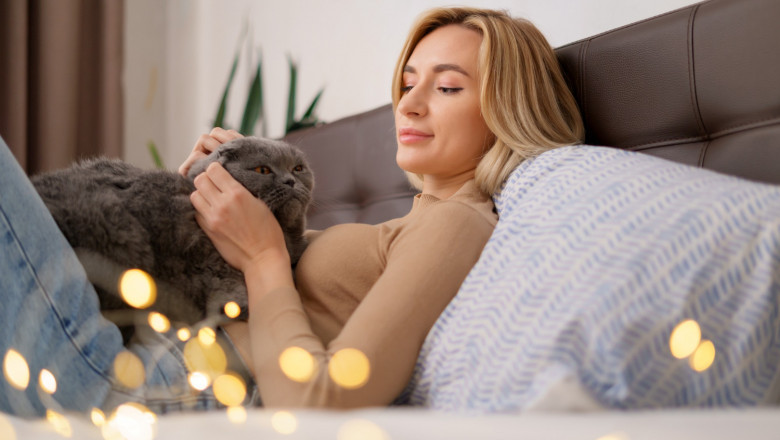 Kedi Neden Sürekli Aynı Kişinin Üzerinde Uyur?