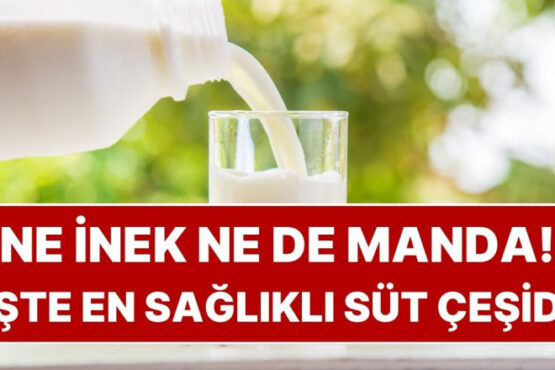 Ne İnek Ne de Manda: En Sağlıklı Süt Çeşidi Meğerse Bambaşkaymış
